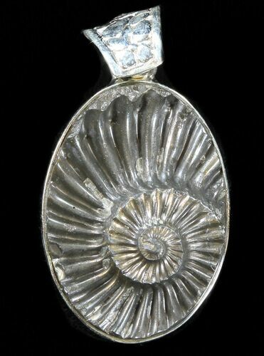 Pyrite Ammonite Fossil Pendant - Sterling Silver #37965